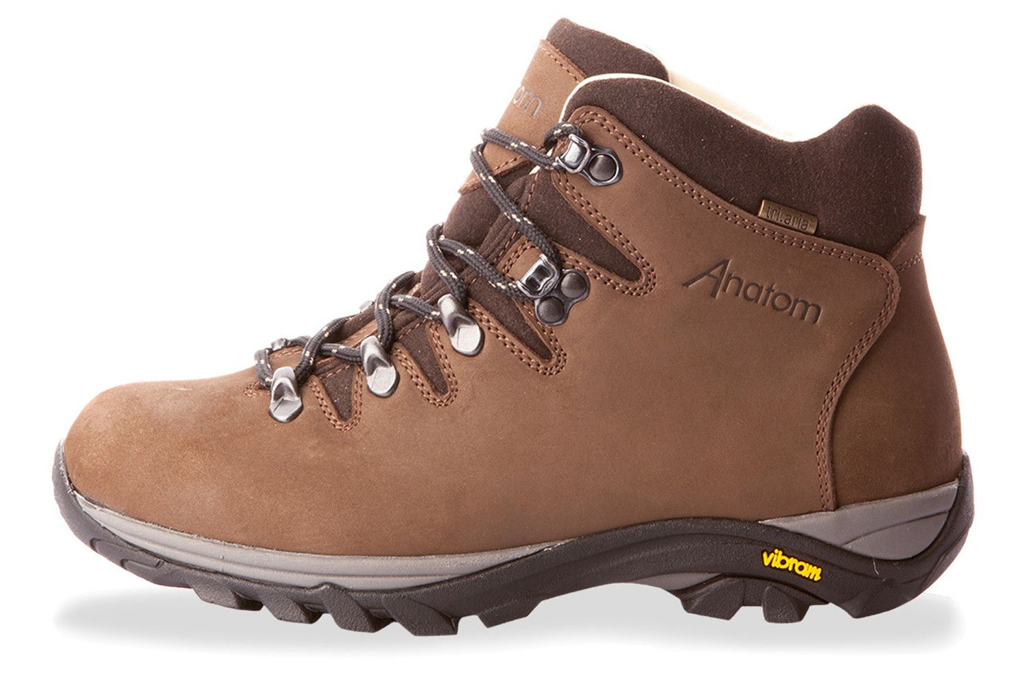 Anatom q2 best sale